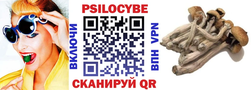 mega как войти  Вологда  Псилоцибиновые грибы Magic Shrooms 