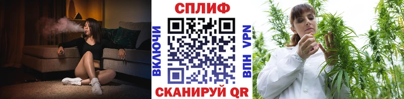 Шишки марихуана семена  Вологда 